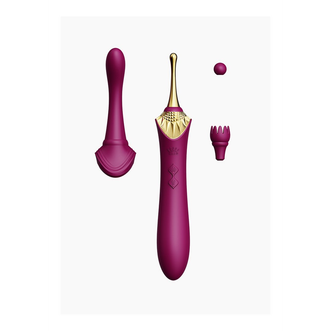 Clitoris Stimulator en Vibrator - Paars - Pleasureplay Luxe VibratorZalo