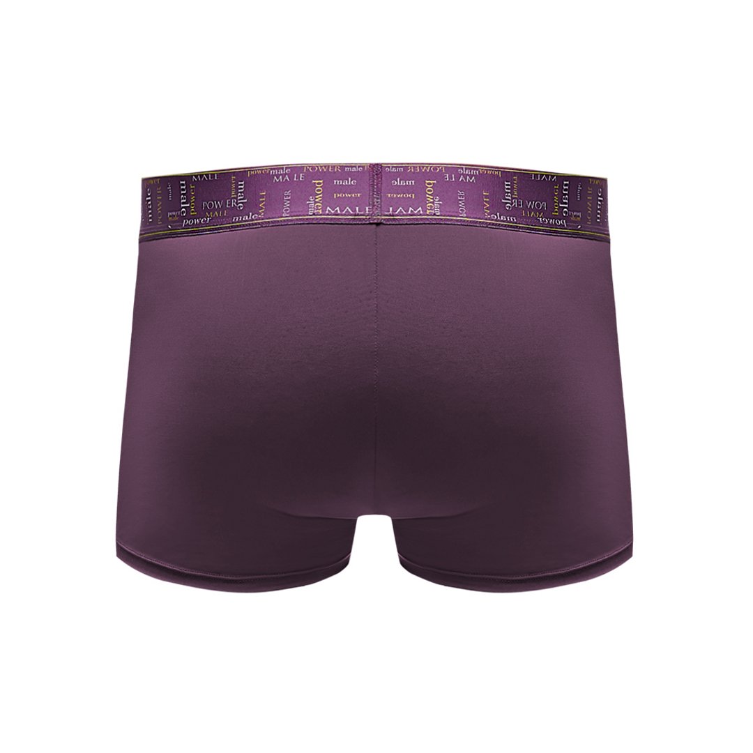 Enhancer Short - L - Eggplant - EroticToyzProducten,Lingerie,Lingerie voor Hem,Boxershorts,,MannelijkMale Power