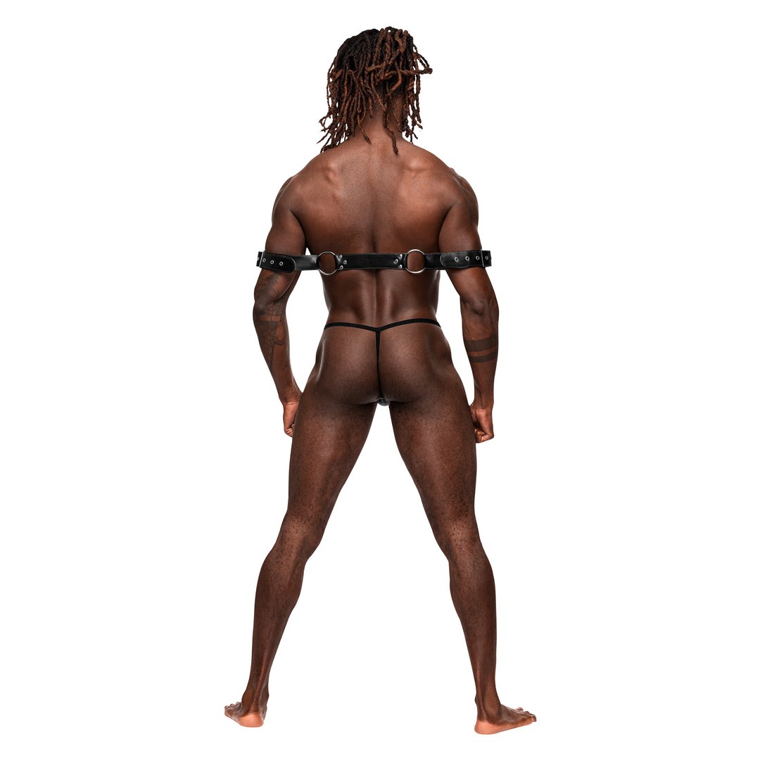 Pisces - One Size - Zwart - Comfortabele Armboeien met Verstelbare Gespen en Decoratieve Studs - EroticToyzProducten,Toys,Fetish,Restraints,Lingerie,Lingerie voor Hem,Fetishkleding voor Hem,,MannelijkMale Power